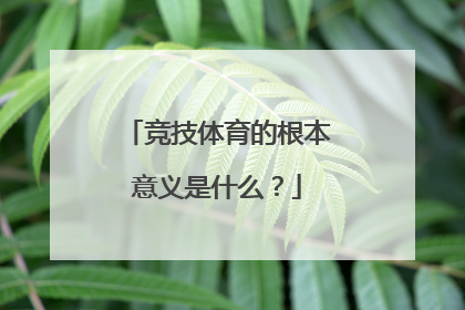 竞技体育的根本意义是什么？