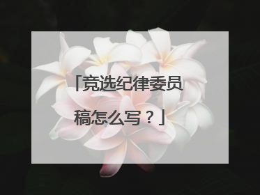 竞选纪律委员稿怎么写？