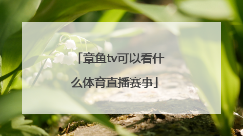 章鱼tv可以看什么体育直播赛事