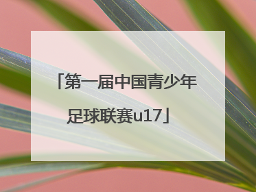 「第一届中国青少年足球联赛u17」第一届中国青少年足球联赛U17直播