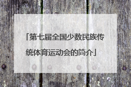 第七届全国少数民族传统体育运动会的简介