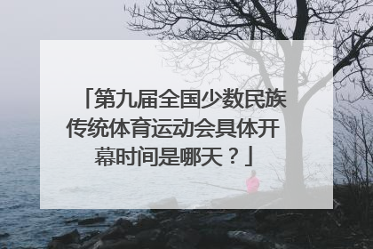 第九届全国少数民族传统体育运动会具体开幕时间是哪天？