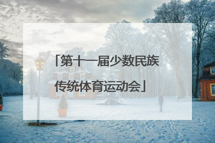 「第十一届少数民族传统体育运动会」第十一届少数民族传统体育运动会在哪举行