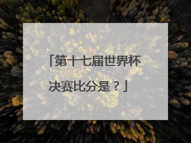 第十七届世界杯决赛比分是？