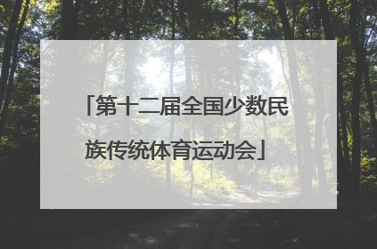 「第十二届全国少数民族传统体育运动会」第十二届全国少数民族传统体育运动会将在哪里举行?