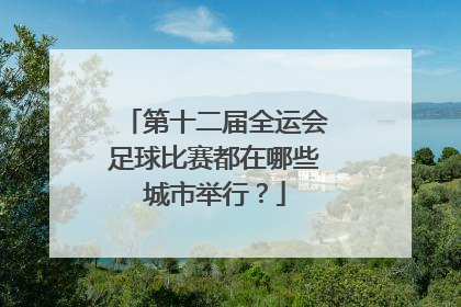 第十二届全运会足球比赛都在哪些城市举行？