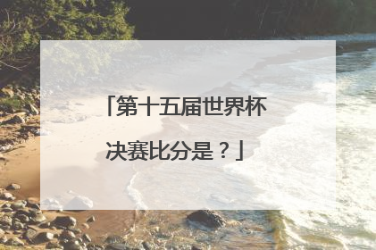 第十五届世界杯决赛比分是？