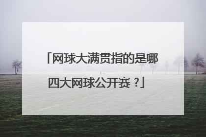 网球大满贯指的是哪四大网球公开赛 ?