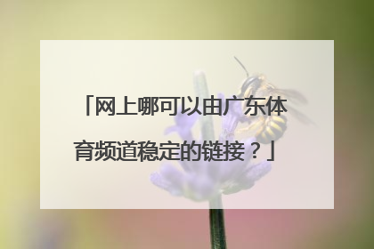 网上哪可以由广东体育频道稳定的链接？