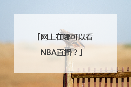 网上在哪可以看NBA直播？