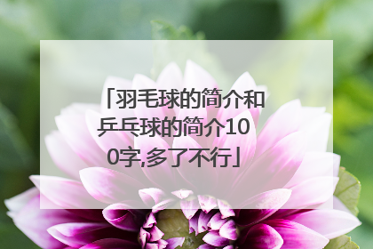 羽毛球的简介和乒乓球的简介100字,多了不行