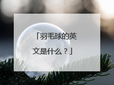 羽毛球的英文是什么？