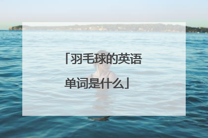 羽毛球的英语单词是什么