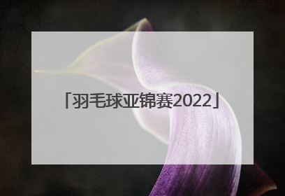 「羽毛球亚锦赛2022」2022年羽毛球世界锦标赛赛程