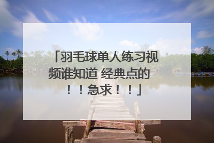 羽毛球单人练习视频谁知道 经典点的！！急求！！