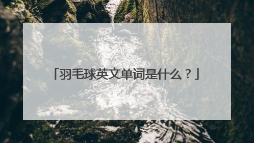 羽毛球英文单词是什么？