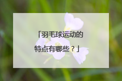 羽毛球运动的特点有哪些？