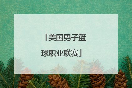 「美国男子篮球职业联赛」美国男子篮球职业联赛电话