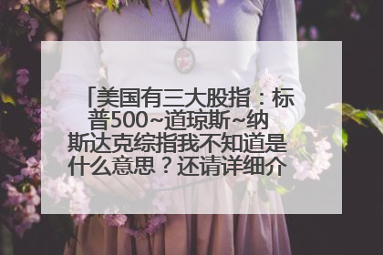 美国有三大股指：标普500~道琼斯~纳斯达克综指我不知道是什么意思？还请详细介绍一番？感谢！