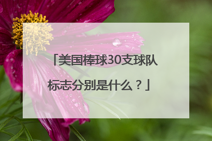 美国棒球30支球队标志分别是什么？