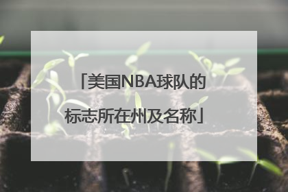 美国NBA球队的标志所在州及名称