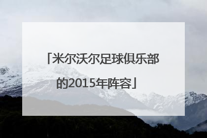 米尔沃尔足球俱乐部的2015年阵容