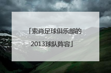 索肖足球俱乐部的2013球队阵容