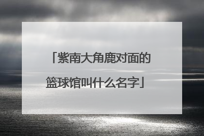 紫南大角鹿对面的篮球馆叫什么名字