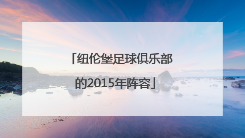 纽伦堡足球俱乐部的2015年阵容