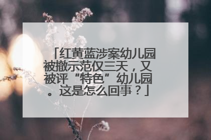 红黄蓝涉案幼儿园被撤示范仅三天，又被评“特色”幼儿园。这是怎么回事？