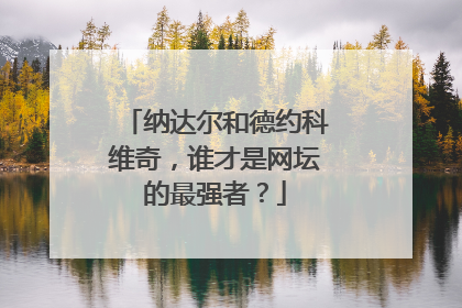 纳达尔和德约科维奇，谁才是网坛的最强者？