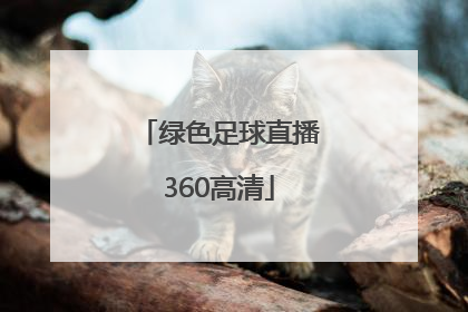 「绿色足球直播360高清」360足球绿色直播无插件