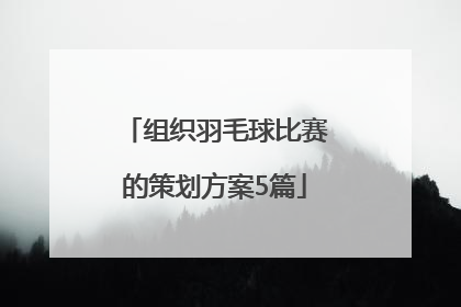 组织羽毛球比赛的策划方案5篇