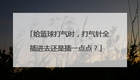 给篮球打气时，打气针全插进去还是插一点点？