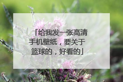 给我发一张高清手机壁纸，要关于篮球的，好看的