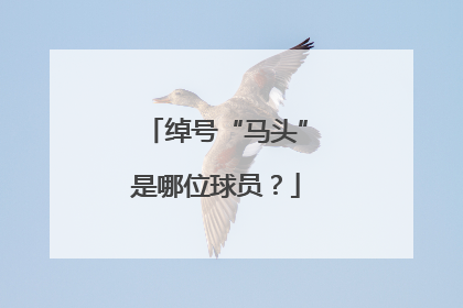 绰号“马头”是哪位球员？