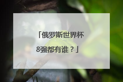 俄罗斯世界杯8强都有谁？