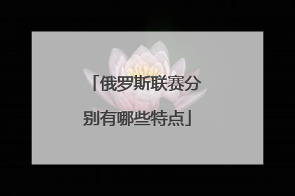 俄罗斯联赛分别有哪些特点