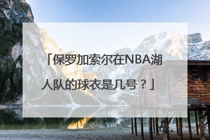 保罗加索尔在NBA湖人队的球衣是几号？