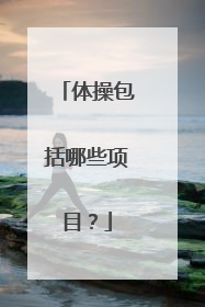 体操包括哪些项目？