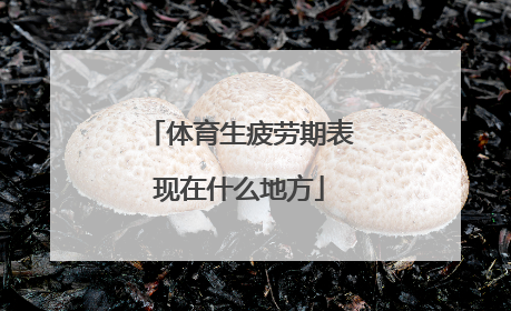 体育生疲劳期表现在什么地方