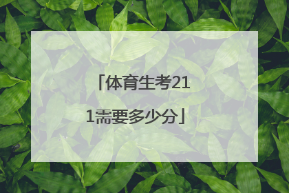 「体育生考211需要多少分」山东体育生考211需要多少分