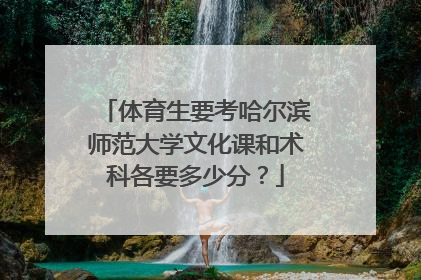 体育生要考哈尔滨师范大学文化课和术科各要多少分？