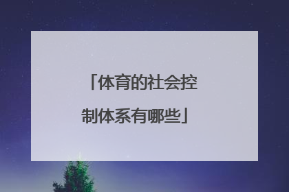 体育的社会控制体系有哪些