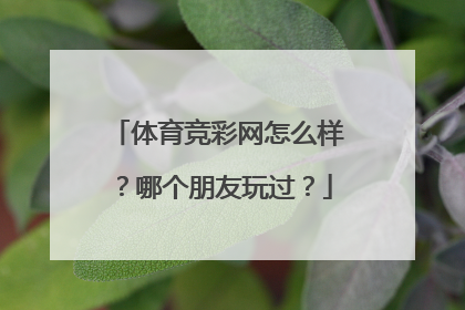 体育竞彩网怎么样？哪个朋友玩过？