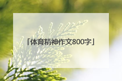 「体育精神作文800字」体育精神作文800字高中议论文