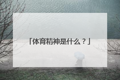 体育精神是什么？