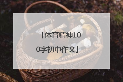 体育精神100字初中作文