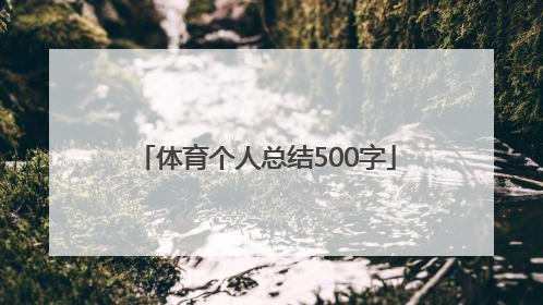 「体育个人总结500字」毕业个人总结500字