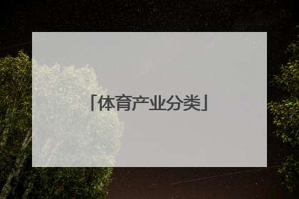 「体育产业分类」国家体育产业分类